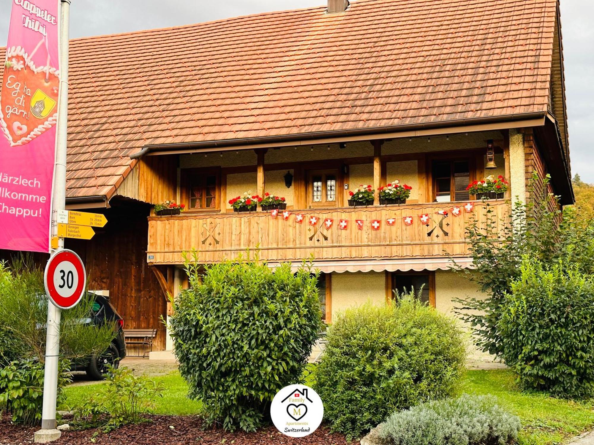 Family M Apartments 15 Kappel bei Olten Экстерьер фото